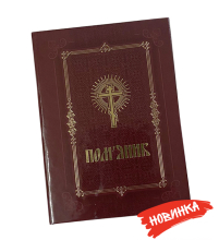 ПОМ'ЯНИК   тверда палітурка   КОРИЧНЕВИЙ   Газетний папір   УКР. мова