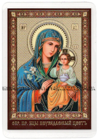 ЛАМІНУВАНННЯ  6/9см Церковнослов'янська мова  НЕВ'ЯНУЧИЙ ЦВІТ